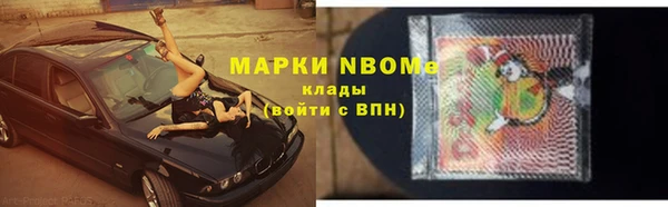 стаф Аркадак