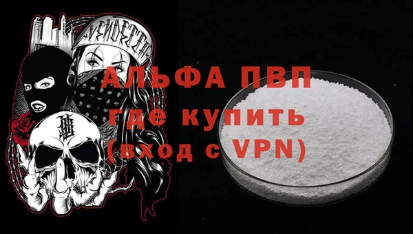 стаф Аркадак