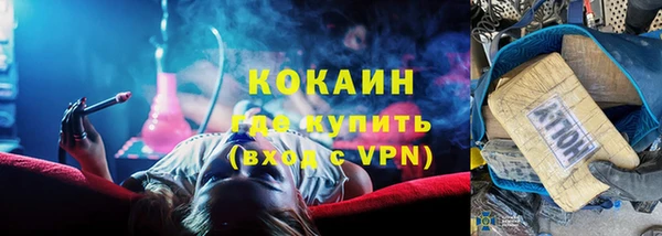 стаф Аркадак