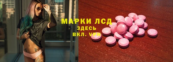 стаф Аркадак