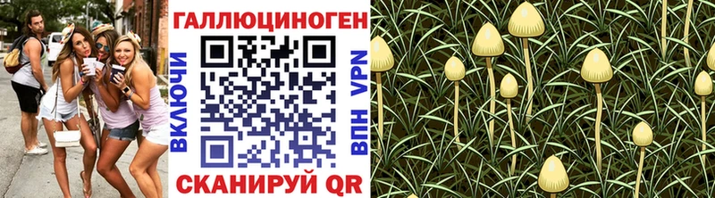 shop наркотические препараты  Кировск  Псилоцибиновые грибы MAGIC MUSHROOMS 