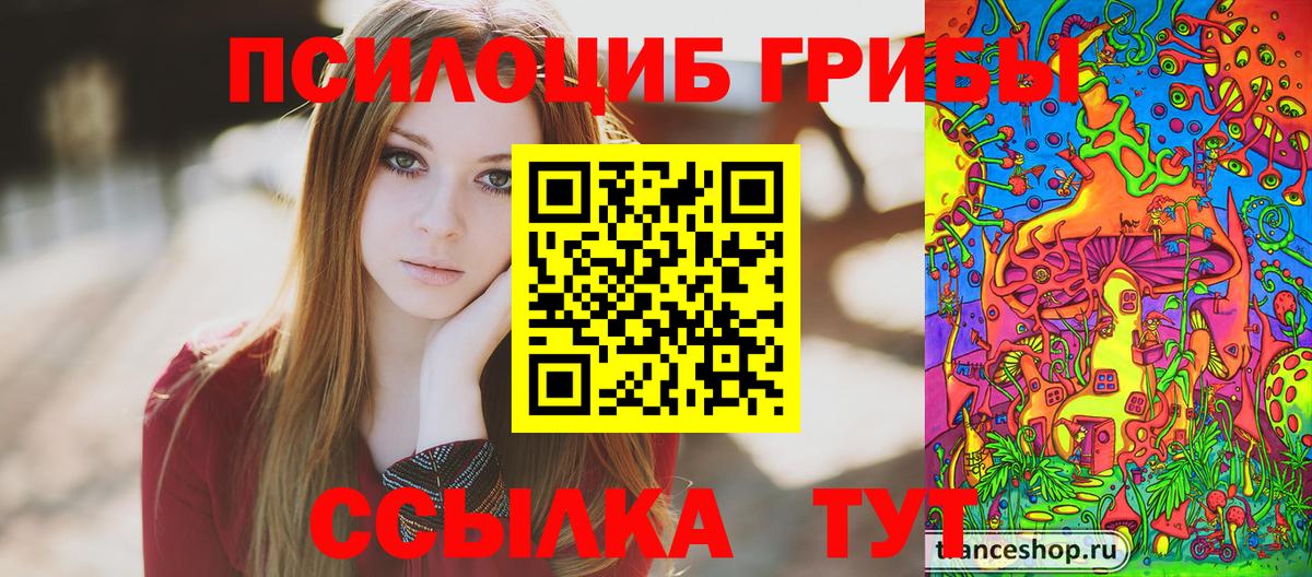 Псилоцибиновые грибы Psilocybine cubensis Кировск