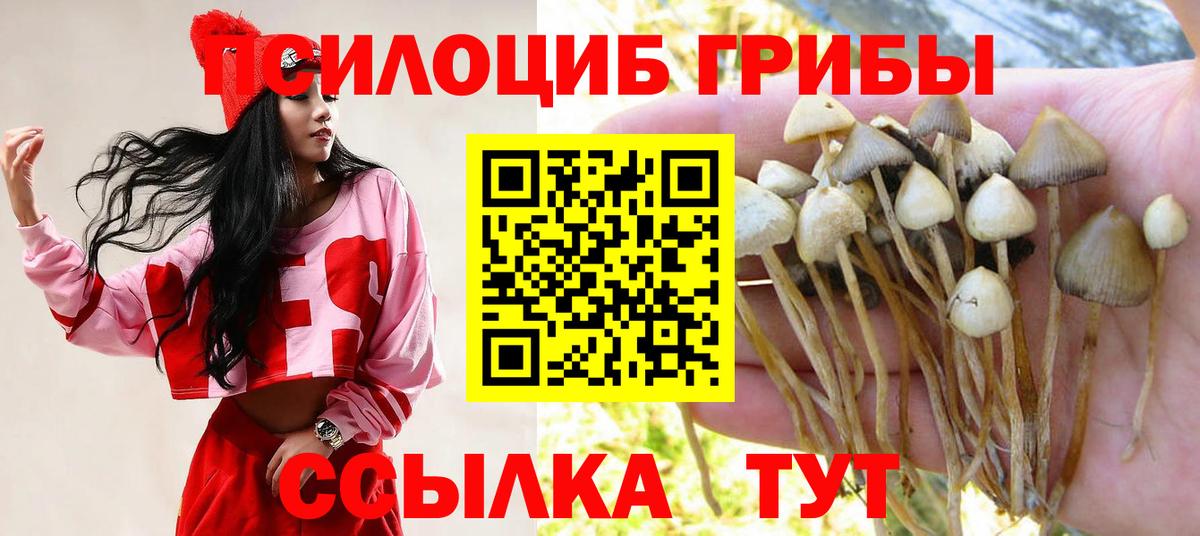 Псилоцибиновые грибы мицелий  Вход с VPN  купить наркотик  Галлюциногенные грибы Psilocybine cubensis  Кировск 