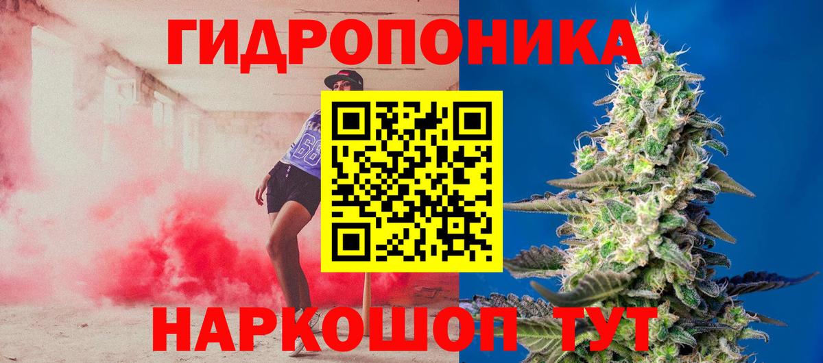 Кировск  Бошки Шишки OG Kush  Вход с VPN  Канабис гибрид  Канабис гибрид 
